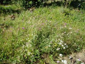 photo coins arrondis