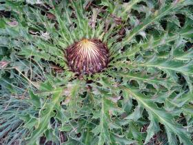 photo coins arrondis