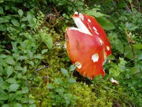 photo coins arrondis