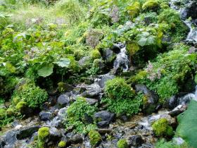 photo coins arrondis