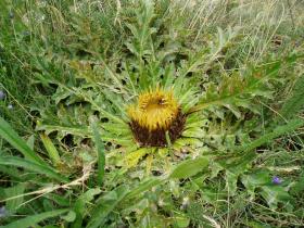 photo coins arrondis