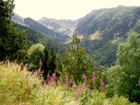 photo coins arrondis