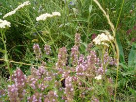 photo coins arrondis