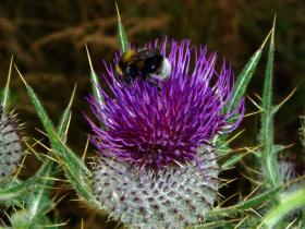 photo coins arrondis