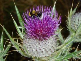 photo coins arrondis