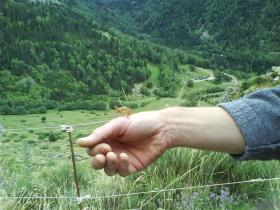 photo coins arrondis