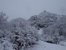 photo coins arrondis