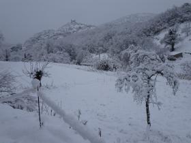 photo coins arrondis