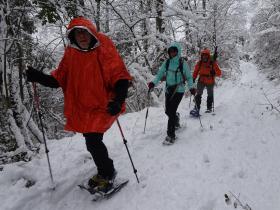 photo coins arrondis