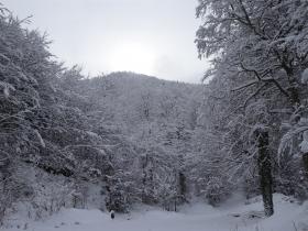 photo coins arrondis