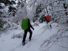 photo coins arrondis