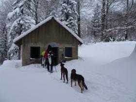 photo coins arrondis