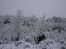 photo coins arrondis