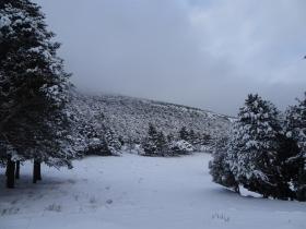 photo coins arrondis