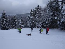 photo coins arrondis