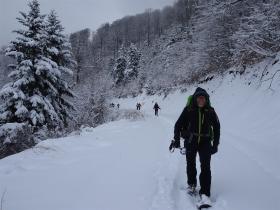 photo coins arrondis