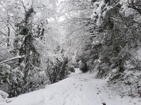 photo coins arrondis