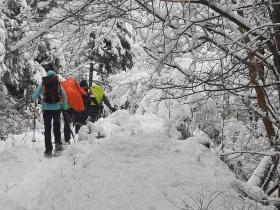 photo coins arrondis