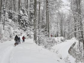 photo coins arrondis