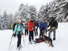 photo coins arrondis