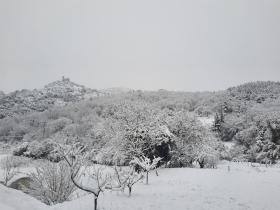 photo coins arrondis