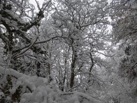 photo coins arrondis