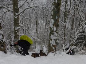 photo coins arrondis