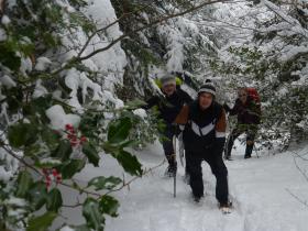 photo coins arrondis