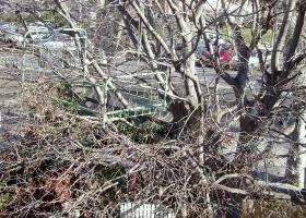 photo coins arrondis