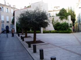 photo coins arrondis