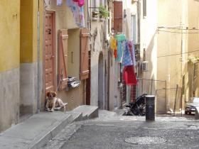 photo coins arrondis