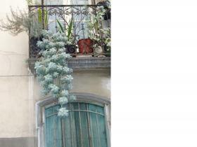 photo coins arrondis