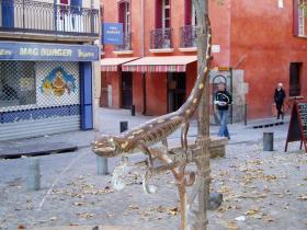 photo coins arrondis