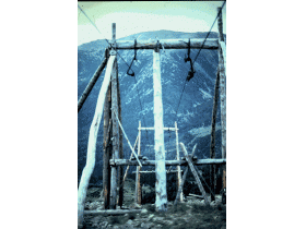 photo coins arrondis