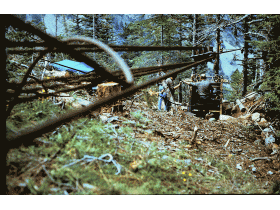 photo coins arrondis