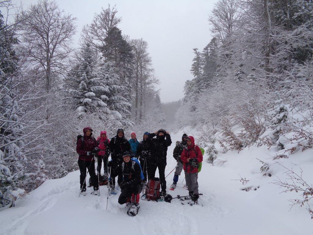 ad4-fond-2017-11-.jpg Image aléatoire