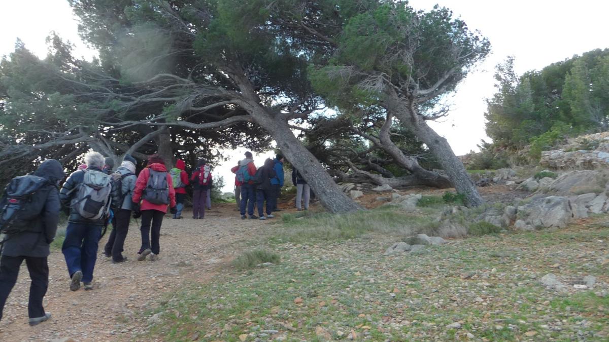 Image al&eacute;atoire