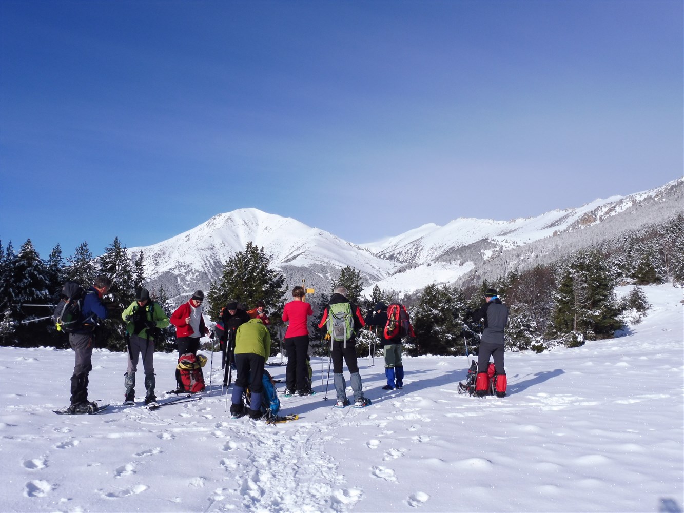 Image al&eacute;atoire