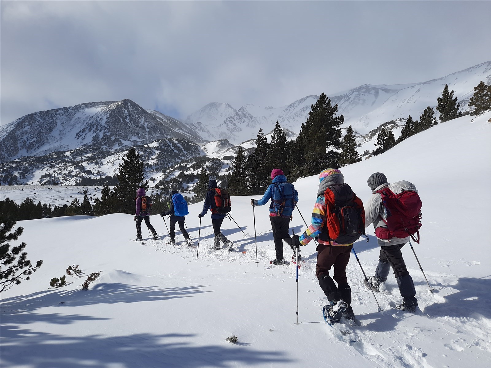 Image al&eacute;atoire