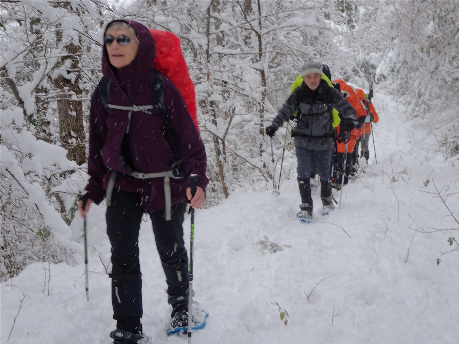 adm-dsc05118.jpg Image aléatoire