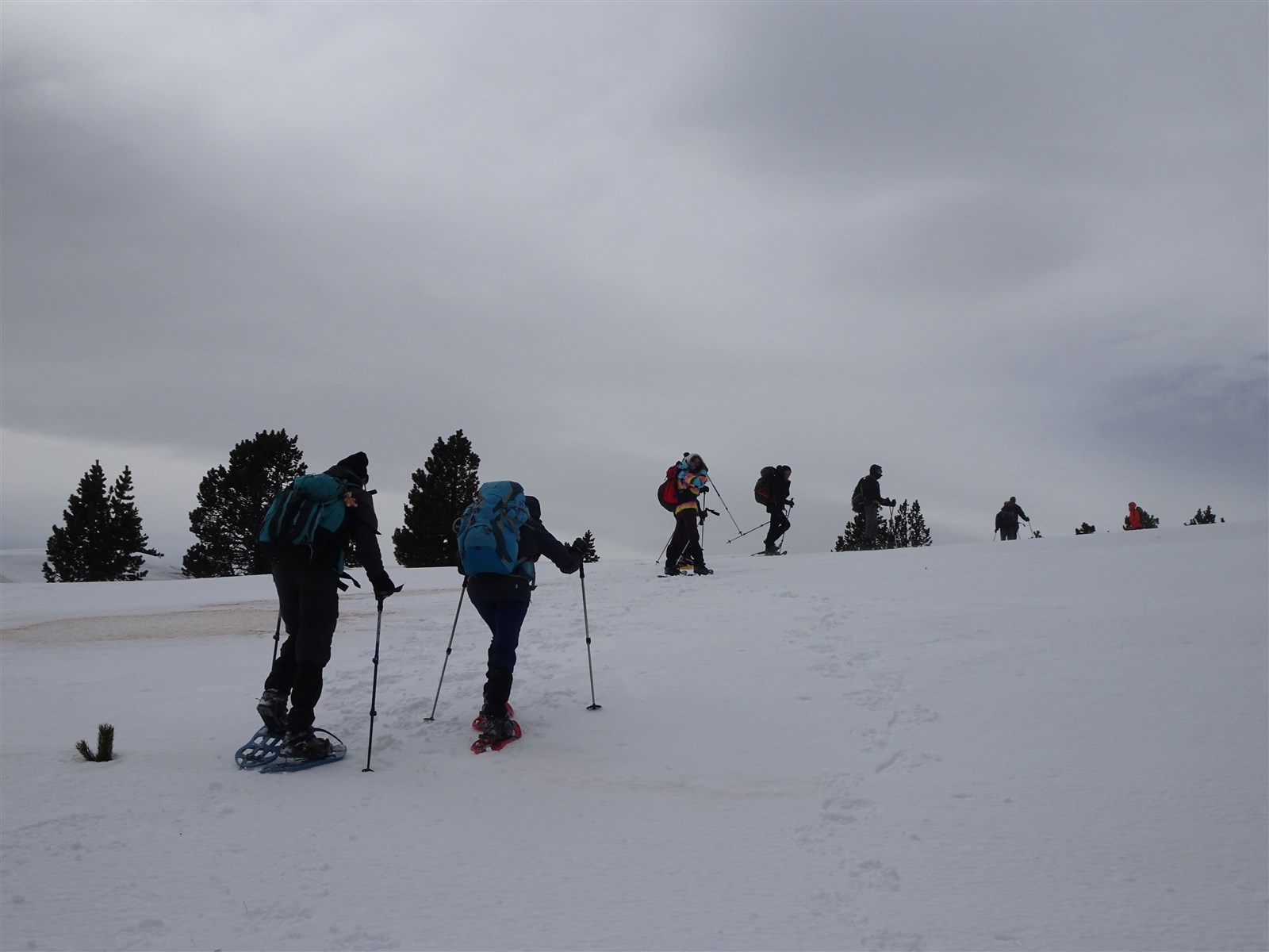 Image al&eacute;atoire