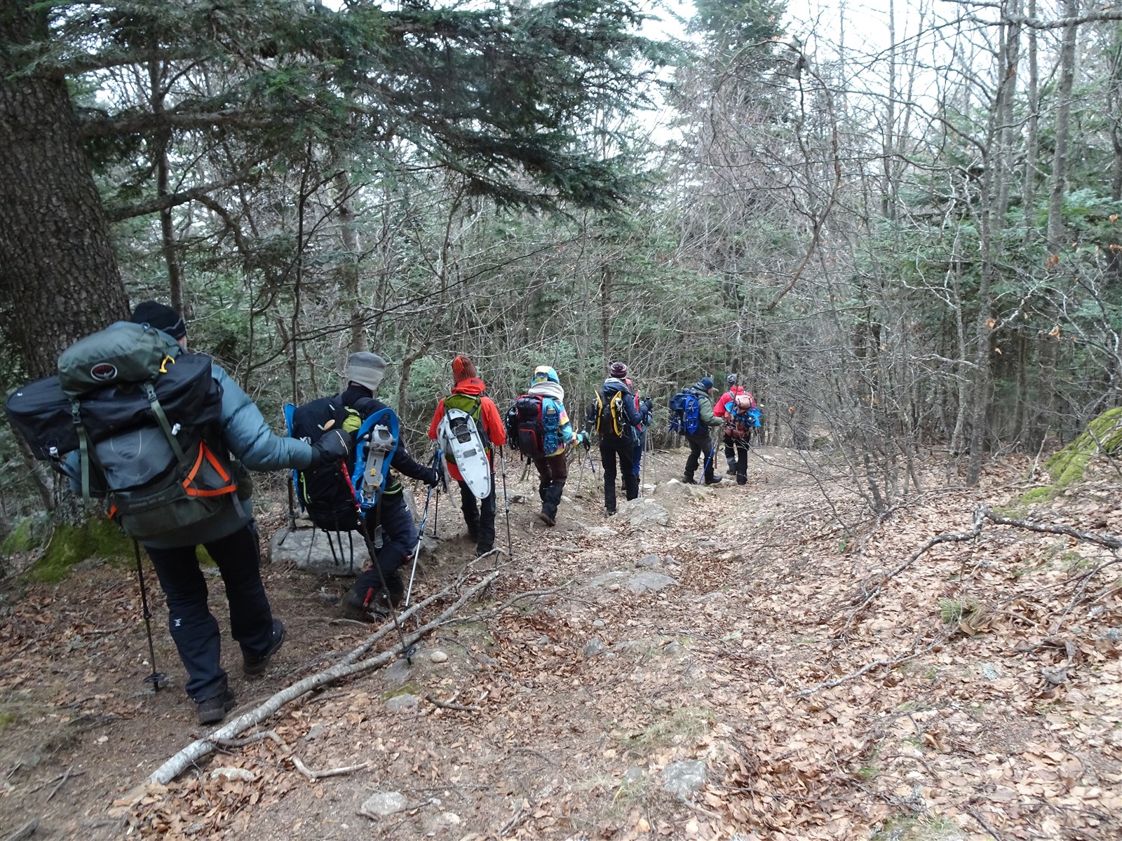 adm-dsc05577.jpg Image aléatoire