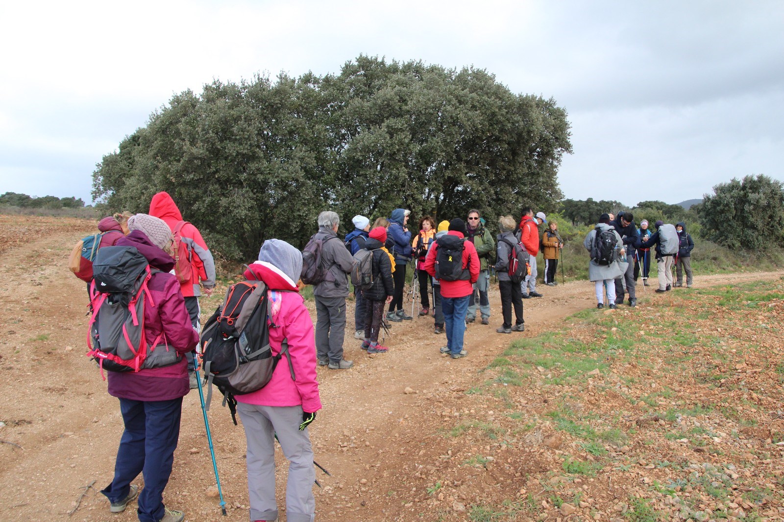 adm-img-7952.jpg Image aléatoire