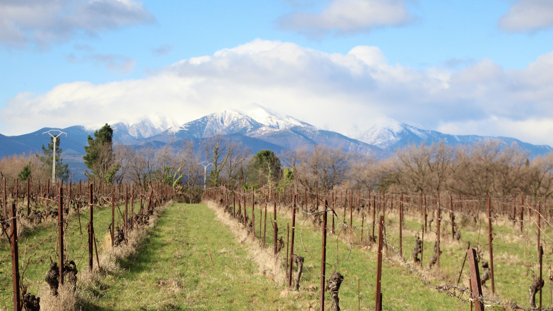 img-7712.jpg Image aléatoire