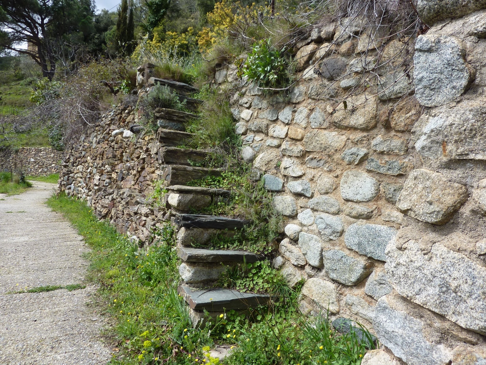 p1190218-1-.jpg Image aléatoire