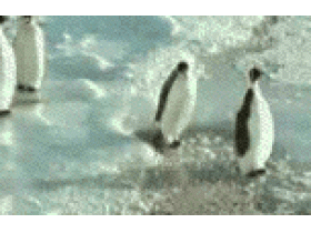 mé;fiez vous des copains